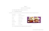BAB 2 TINJAUAN PUSTAKA 2.1 Bawang Putih ( Allium …repository.usu.ac.id/bitstream/123456789/29772/4/Chapter II.pdf · uap dengan tekanan lebih tinggi dari tekanan udara luar dengan