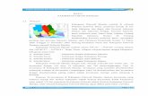 Analisis Situasi Ibu dan Anak Berbasis HAM TAHUN 2010 · PDF fileBAB II | Gambaran Umum Daerah Analisis Situasi Ibu dan Anak Berbasis HAM 2.1 Wilayah pecahan dari provinsi Sulawesi