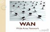WAN -    dari yang dapat dijangkau LAN. WAN memerlukan pelayanan dari Carrier seperti telepon perusahaan,kabel, system satelit dan provider network
