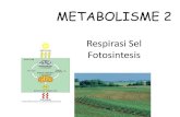 METABOLISME 2 -   · PDF filesintesis molekul organik dengan menggunakan bantuan energi cahaya matahari ... pembentukan karbohidrat