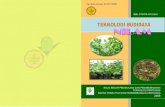 Teknologi Budidaya Nilam - BPTP Lampunglampung.litbang.pertanian.go.id/ind/images/stories/publikasi/nilam.pdf · Secara visual (penglihatan) nilam Aceh dapat dibedakan dari nilam