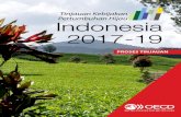Tinjauan Kebijakan Pertumbuhan Hijau Indonesia 2017-19 · PDF filedi OECD 4 “Pertumbuhan hijau yang inklusif menawarkan alternatif ... ekonomi reguler akan memberi dampak positif