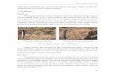 BAB IV Analisis Sedimentasi - · PDF fileUkuran butir berkisar antara pasir halus sampai pasir kasar, dengan struktur sedimen yang sering muncul adalah ripple ,lenticular ,wavy , flaser