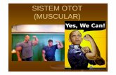 Sistem Otot (Muscular) ppt - Staff Official Site Unilastaff.unila.ac.id/gnugroho/files/2014/05/Sistem-Otot-Muscular1.pdf · BESAR KECILNYA PUPIL MATA, ... lambung, usus halus, usus