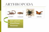 ARTHROPODA -   · PDF fileReproduksi ovipar Ekskresi buluh malpighi ( serangga) Ganglion: Sistem simpul tali saraf