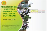 PERLINDUNGAN VARIETAS TANAMAN DAN …pvtpp.setjen.pertanian.go.id/cms/wp-content/uploads/2017/04/Materi... · Hasil Penilaian OMBUDSMAN REPUBLIK INDONESIA Unit Layanan 2015 2016 ...