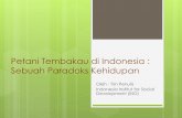 Petani Tembakau di Indonesia : Sebuah Paradoks Kehidupanictoh-tcscindonesia.com/wp-content/uploads/2017/05/IISD-Petani... · secara maksimal dan masih harus menanggung resiko-resiko