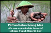 Mata Kuliah Inovasi Budidaya Pertanian Pemanfaatan · PDF filepadi. ” (Wardana 2008). ... Encerkan gula merah/molase, campur dengan air bersih dan air kelapa dalam satu wadah. Campurkan