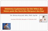 Efektivitas Suplementasi Zat Gizi Mikro dan Makro pada ...pdgmi.org/wp-content/uploads/2017/10/1.-dr.-Elvina-Karyadi-MSc-PhD… · Dr. Elvina Karyadi, MSc, PhD, SpGK Seminar PDGMI,