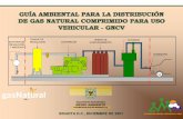 GUÍA AMBIENTAL PARA LA DISTRIBUCIÓN DE GAS …ambientebogota.gov.co/documents/10157/2844189/gnvc.pdf · entre otras, que son abastecidas por más de 32 estaciones de servicio. ...