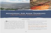 database.forda-mof.orgdatabase.forda-mof.org/uploads/4_Mengenal_Air_Asam_Tambang... · untuk endapan mineral industry (golongan C). Contohnya tambang batu pualam, aspal, dan granit