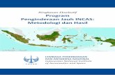Ringkasan Eksekutif Program Penginderaan Jauh INCAS: · PDF filepenghutanan kembali telah memberikan peluang bagi Indonesia untuk mendapatkan keuntungan dari prakarsa internasional