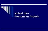 Isolasi dan Pemurnian Protein - asep. · PDF fileMuatan: Kromatografi Penukar Ion ... dengan detergen anion . Penentuan Massa Molekul Protein. Analisa Tingkat Kemurnian dengan SDS-PAGE