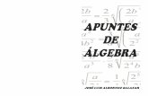 TÉRMINOS SEMEJANTES · PDF fileAPUNTES DE ÁLGEBRA Ing. José Luis Albornoz Salazar - 2