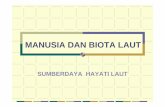 MANUSIA DAN BIOTA LAUT - Staff Official Site Unilastaff.unila.ac.id/gnugroho/files/2014/06/Bahan-Ajar-Biola-1.pdf · Dinoflagellata beraneka-ragam, tetapi tidak memp. kerangka mineral,