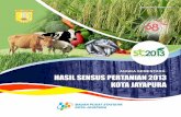 FAO yang menetapkan - st2013.bps.go.idst2013.bps.go.id/st2013esya/booklet/st9471.pdf · dalam setiap subsektor pertanian pada bulan ... Kota Jayapura Berdasarkan angka sementara hasil