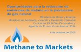Oportunidades para la reducción de emisiones de metano en ... · PDF filePérdidas de metano por bombeo neumático • Los sistemas de bombeo neumático convencionales usan acumulaciones