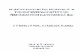 PENINGKATAN ENERGI DAN PROTEIN RANSUM  · PDF fileNeraca Energi Neraca Nitrogen . Created Date: 1/30/2017 1:37:32 PM
