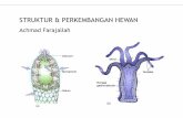 Achmad Farajallah - xa.yimg.comxa.yimg.com/kq/groups/21546112/1799054467/name/sirkulasi1.pdf · Arteri di median tubuh saling bergabung ... berupa lapisan sel-sel endotelium pipih