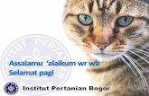 Institut Pertanian Bogor - biofarmaka.ipb.ac.idbiofarmaka.ipb.ac.id/phocadownloadpap/userupload... · bersumber pada hewan ... contoh: kategori A: antraks, botulismus, ... •Pemeriksaan