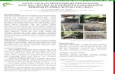 POPULASI DAN PERFORMANS REPRODUKSI BABI BALI · PDF fileHasil penelitian menunjukkan bahwa populasi babi bali di Kabupaten Karangasem yang terdiri dari 8 kecamatan dalam lima tahun