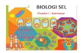 biologi_sel_chapter_1.pdf - TADRIS BIOLOGI IAIN …tadris-biologi-iainjember.weebly.com/.../biologi_sel_chapter_1.pdf · BIOLOGI SEL Chapter I : Apersepsi . ... MK ini membahas tentang
