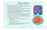 RESPIRASI - blog.ub.ac.idblog.ub.ac.id/puspitt/files/2012/12/BAB-5-RESPIRASI.pdf · seefisien Respirasi Aerob • Hanya 2 ATP yang terbentuk, sedangkan pada respirasi Aerob terbentuk