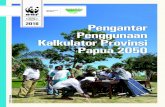 IDN 2016 Pengantar Penggunaan Kalkulator Provinsi · PDF file2 Apa itu Kalkulator Provinsi Papua 2050 (KPP 2050)? KPP 2050 adalah sebuah model kalkulasi pemanfaatan energi dan pemanfaatan