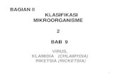 BAGIAN II KLASIFIKASI MIKROORGANISME 2 BAB 9digilib.esaunggul.ac.id/public/UEU-paper-6735-9._Klas._Mikro.-2... · KLASIFIKASI MIKROORGANISME 2 BAB 9 VIRUS, KLAMIDIA (CHLAMYDIA) ...