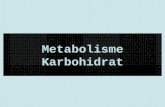 Metabolisme Karbohidrat - Berbagi Kisah – Noyalita Khadij · PPT file · Web viewMetabolisme Karbohidrat Siklus cori Glikogen hati Glukosa darah Glikogen otot Asam laktat Dalam