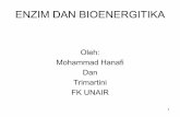 Oleh: Mohammad Hanafi Dan Trimartini FK UNAIR · PDF file– ikatan hidrogen – ikatan elektrostatik • kegunaan : – supaya molekulnya lebih stabil – untuk mendapat fungsi tertentu