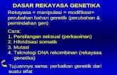 DASAR REKAYASA GENETIKA - ordinary words · PDF fileENZIM YANG TERLIBAT 1. Enzim restriksi endonuklease •Memotong DNA pada situs spesifik •Tipe II: situs pengenalan dan pemotongan