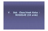 V. S b Cl /A k K l Sub Class/Anak Kelas : ROSIDAE (18 ordo) · PDF file(Peru balsam) Æsap Tephrosia vogelii (Ind. kacang babi) ... Eu. tirucalliEu. tirucalli (patah tulang)(patah