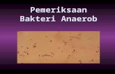 Pemeriksaan Bakteri Anaerob - Medical Islamic Study Club · PPT file · Web view · 2012-01-06Membtk spora Sp. Yg penting: C.tetani, C.botulinum, C.perfringens, C.difficile. Morfologi