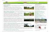 Fokus REDD TENTANG REDD­ INDONESIA · PDF fileprocesses, dialogues and actions ... Seminar nasional benih unggul untuk hutan tanaman, restorasi ekosistem ... Anchoring trust in East
