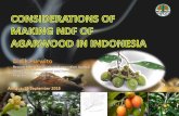 Some facts about agarwood in Indonesia Didik...PT. Sumber Alam Jaya Mandiri Pontianak, West Kalimantan 27. PT. Super Cahaya Raya Surabaya 28. PT. Tanjung Batu Wana Perkasa Jakarta