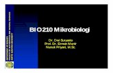 BIO210 Mikrobiologi - ocw.usu.ac.idocw.usu.ac.id/course/download/8110000034-mikrobiologi/bio210_sap... · D E P A R T M E N T O F B I O L O G Y F A C U L T Y O F M A T H E M A T I