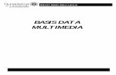 BASIS DATA MULTIMEDIA - Official Site of MAISARAH ...maisya.staff.gunadarma.ac.id/.../basis-data-multimedia.pdfBasis Data Multimedia 3 Sistem Basis Data Lanjut Data Multimedia •
