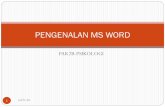 PENGENALAN MS WORD - …dina_anggraini.staff.gunadarma.ac.id/.../37261/PENGENALAN+MS+WO… · Microsoft Word 2007: FUNGSI 3 pak2b-dna ... saat Ms. Word diaktifkan Pengatur tampilan