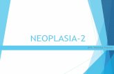 NEOPLASIA-2 - herlina.lecture.ub.ac.id · akumulasi mutasi somatik & penurunan sistem imun. ... Skema dasar molekuler terjadinya kanker: PENYEBAB KANKER (CARCINOGEN)
