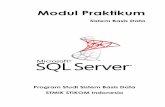 Modul Praktikum - STMIK STIKOM Indonesiastiki-indonesia.ac.id/wp-content/uploads/modul/SK_SistemBasisData.pdf · Modul Praktikum Sistem Basis Data Program Studi Sistem Komputer 3