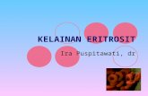 KELAINAN ERITROSIT€¦ · PPT file · Web view · 2012-04-10KELAINAN ERITROSIT Ira Puspitawati, dr ... Tahapan Defisiensi Besi Tahap 1 a. Dikarakterisasi oleh kehilangan cadangan