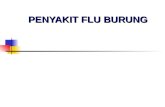 [PPT]PENYAKIT FLU BURUNG - Keluarga IKMA FKMUA … · Web viewPENYAKIT FLU BURUNG * * * * * * * * * * * * * * * * * * * EPIDEMIOLOGI Penyebab FLU BURUNG FLU burung atau flu unggas