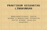 PRAKTIKUM KESEHATAN LINGKUNGAN - Keluarga …€¦ · PPT file · Web view · 2013-05-23Jentik nyamuk apa sajakah yang ditemukan di Jl. Kedung Sroko Surabaya? Bagaimana cara perhitungan