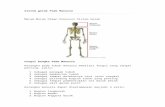 Sistem gerak Pada Manusia · Web viewKerja Otot Manusia Otot manusia bekerja dengan cara berkontraksi sehingga otot akan memendek, mengeras dan bagian tengahnya menggelembung (membesar).