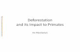 Deforestation and its Impact to Primates - Ani Mardiastuti ...ani_mardiastuti.staff.ipb.ac.id/files/2011/11/PrmMgt06...Laju deforestasi di Indonesia berdasarkan pulau, 1985-1997 (Holmes