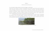 BAB 2 TINJAUAN PUSTAKA 2.1.Tanaman Pinus (Pinus II.pdf · PDF fileDMAPP (Dimetilalil Pirofosfat) oleh enzim isomerase. ... Trans-Farnesil pirofosfat CH 2 + + OPP cis-Farnesil pirofosfat