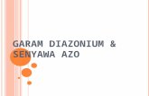 [PPT]GARAM DIAZONIUM & SENYAWA AZO - abc | xyz · Web viewGARAM DIAZONIUM & SENYAWA AZO GARAM DIAZONIUM Ar – N2+X- X Cl-, Br-, HSO4-, NO3-, BF4- (fluoroborat), ClO4- Pembuatan :