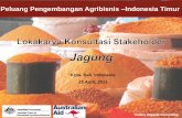 Peluang Pengembangan Agribisnis ... - ei-ado.aciar.gov.auei-ado.aciar.gov.au/sites/default/files/docs/maize_presentation... · Peluang Pengembangan Agribisnis –Indonesia Timur (EI-ADO)