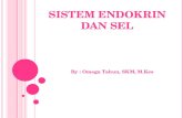 Sistem endokrin - Anatomi & Fisiologi | Just another Weblog …ika121.weblog.esaunggul.ac.id/wp-content/uploads/sites/... · PPT file · Web view2015-03-05 · SISTEM ENDOKRIN DAN